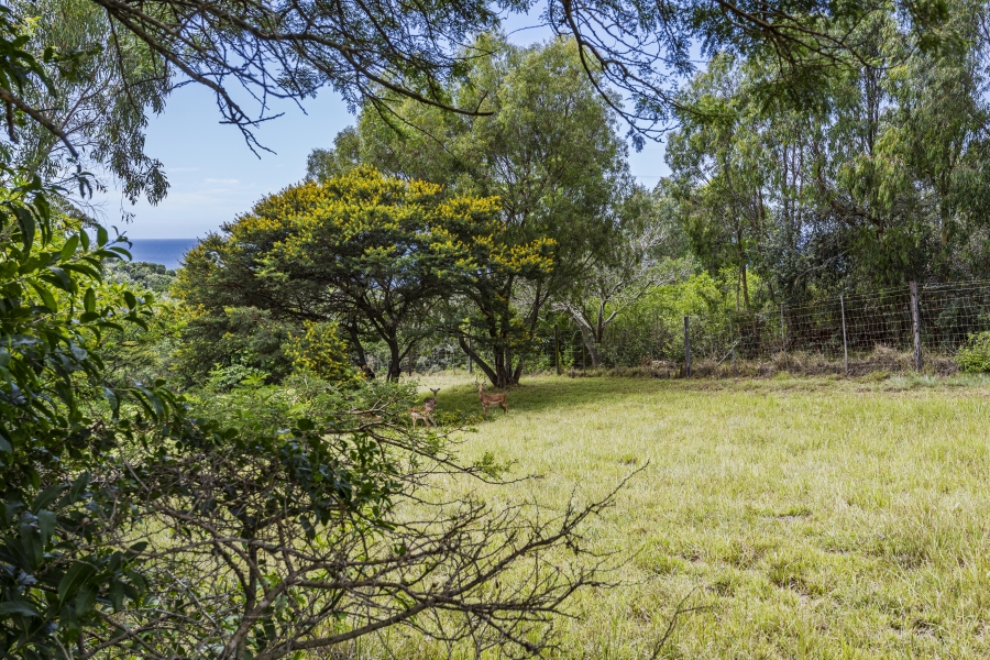 0 Bedroom Property for Sale in Cintsa West Eastern Cape